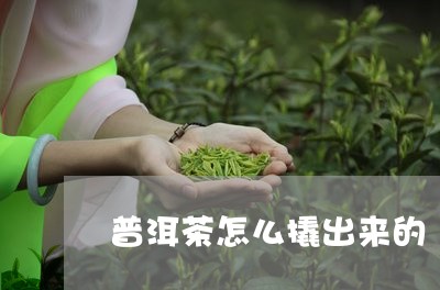 普洱茶怎么撬出来的/2023112562516