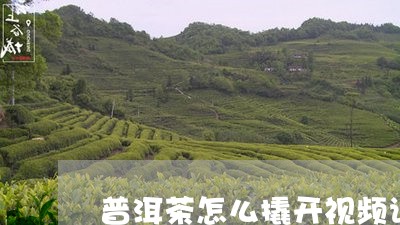 普洱茶怎么撬开视频讲解一下/2023110670715