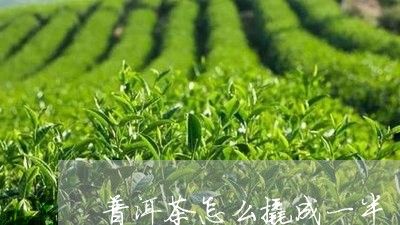 普洱茶怎么撬成一半/2023081619402