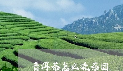 普洱茶怎么撬茶团/2023120497169