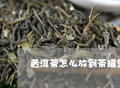 普洱茶怎么放到茶罐里/2023100894938