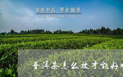 普洱茶怎么放才能好喝/2023080169496