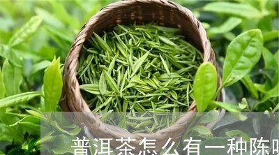 普洱茶怎么有一种陈味/2023072194148