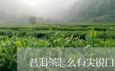 普洱茶怎么有尖锐口感/2023080280603