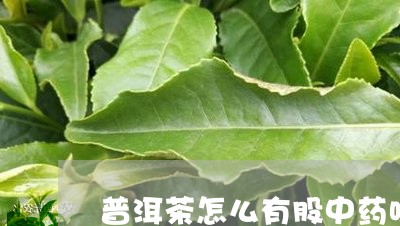 普洱茶怎么有股中药味/2023062306148