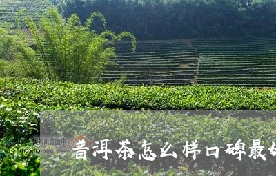 普洱茶怎么样口碑最好/2023072437152