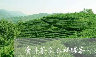 普洱茶怎么样醒茶一次/2023061930503