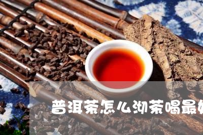 普洱茶怎么沏茶喝最好呢/2023082505948