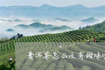 普洱茶怎么没有甜味呢/2023062526272