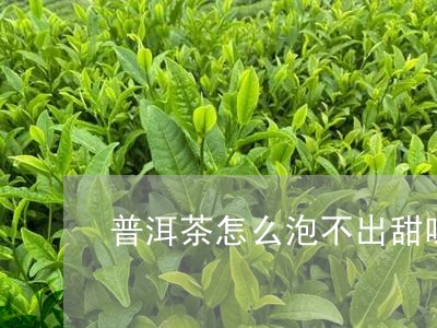 普洱茶怎么泡不出甜味/2023100608269