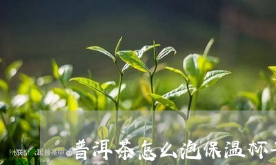 普洱茶怎么泡保温杯子好/2023110174825