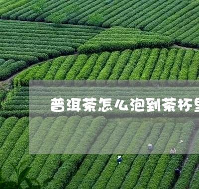 普洱茶怎么泡到茶杯里/2023061963048