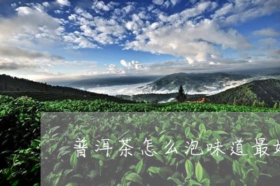 普洱茶怎么泡味道最好/2023080194736