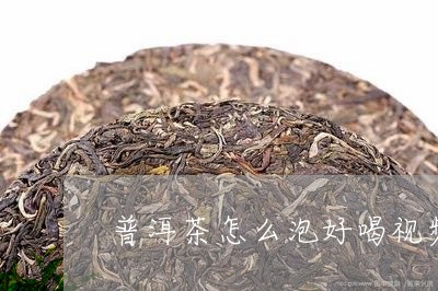 普洱茶怎么泡好喝视频/2023080196160