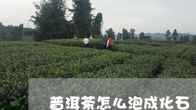 普洱茶怎么泡成化石/2023120586950