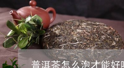 普洱茶怎么泡才能好喝口感/2023121624160