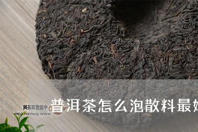 普洱茶怎么泡散料最好的/2023121649481