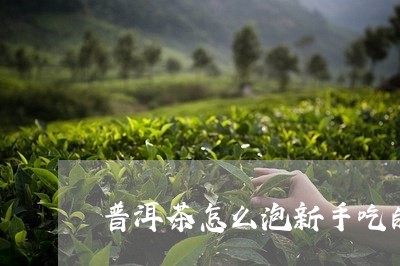 普洱茶怎么泡新手吃的/2023121637592