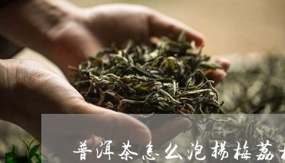 普洱茶怎么泡杨梅荔枝干/2023110630359