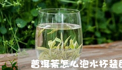 普洱茶怎么泡水杯装的好/2023082538494