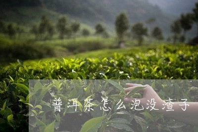 普洱茶怎么泡没渣子/2023110992827