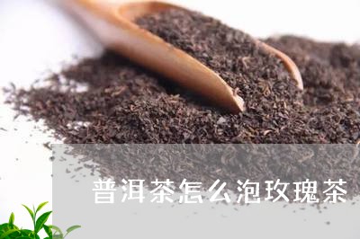 普洱茶怎么泡玫瑰茶/2023091419383