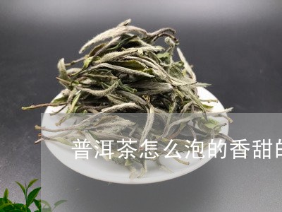 普洱茶怎么泡的香甜的呢/2023082766167