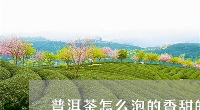 普洱茶怎么泡的香甜的呢/2023110406060