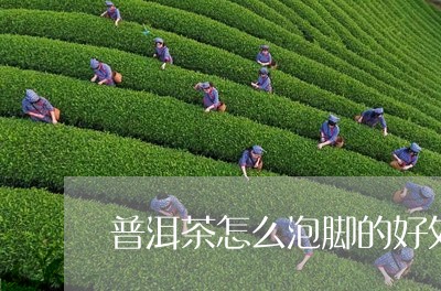 普洱茶怎么泡脚的好处/2023062139492