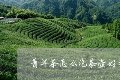 普洱茶怎么泡茶壶好看一点/2023112535274