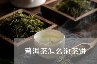 普洱茶怎么泡茶饼/2023120472937