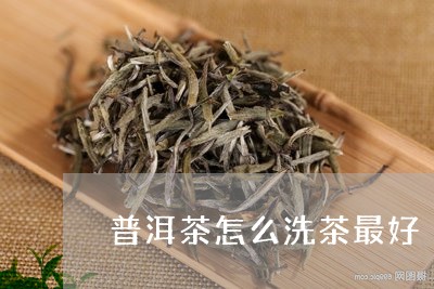 普洱茶怎么洗茶最好/2023070958383