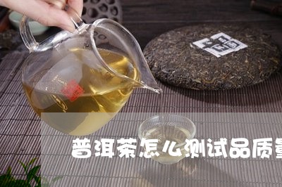 普洱茶怎么测试品质量差/2023121617261