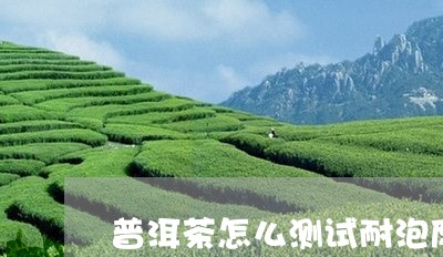 普洱茶怎么测试耐泡度好坏/2023083040537