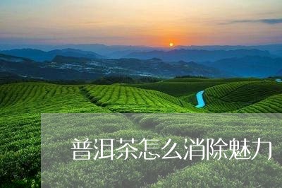 普洱茶怎么消除魅力/2023070883714