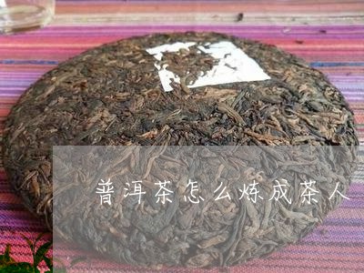 普洱茶怎么炼成茶人/2023091443836