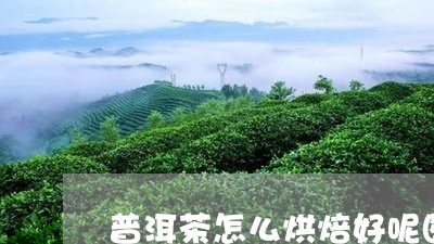 普洱茶怎么烘焙好呢图片/2023102458280