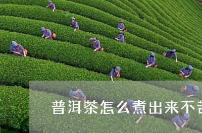 普洱茶怎么煮出来不苦/2023080354239