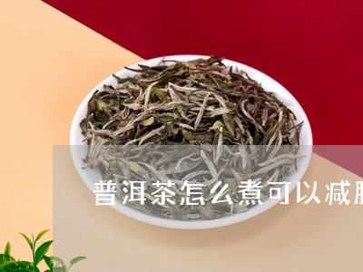 普洱茶怎么煮可以减肥/2023062766250