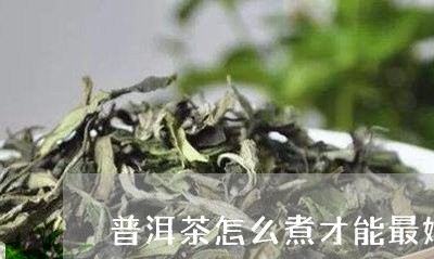 普洱茶怎么煮才能最好/2023062544926