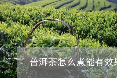 普洱茶怎么煮能有效果/2023092947269