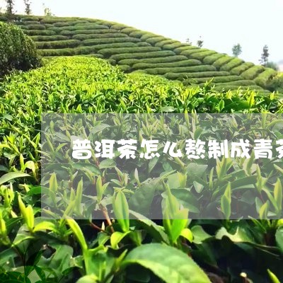 普洱茶怎么熬制成青茶/2023100712716