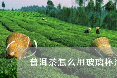 普洱茶怎么用玻璃杯泡/2023120618371