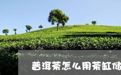 普洱茶怎么用茶缸储存/2023100503957