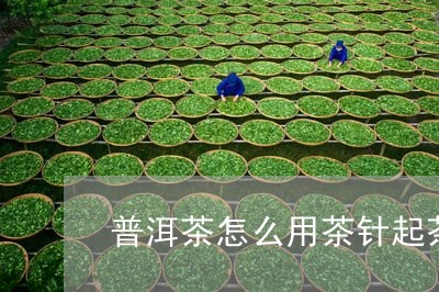 普洱茶怎么用茶针起茶/2023080314939