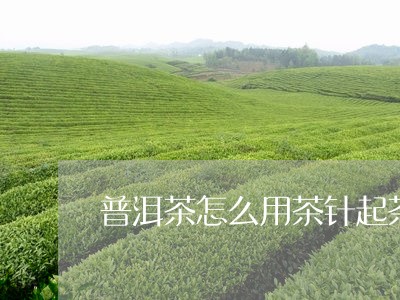 普洱茶怎么用茶针起茶/2023100888693