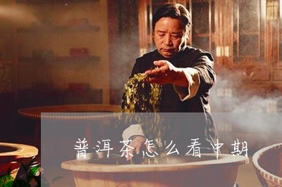 普洱茶怎么看中期/2023120457068