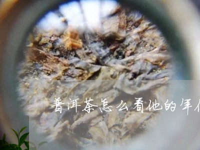 普洱茶怎么看他的年份/2023061868482