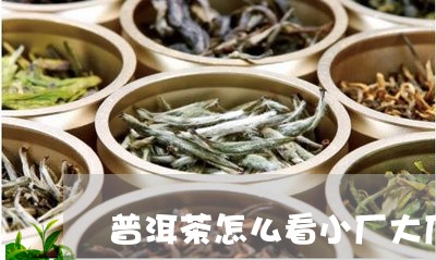 普洱茶怎么看小厂大厂/2023072496271