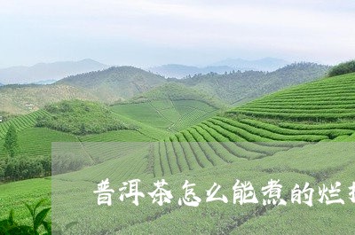 普洱茶怎么能煮的烂掉茶叶/2023121673606